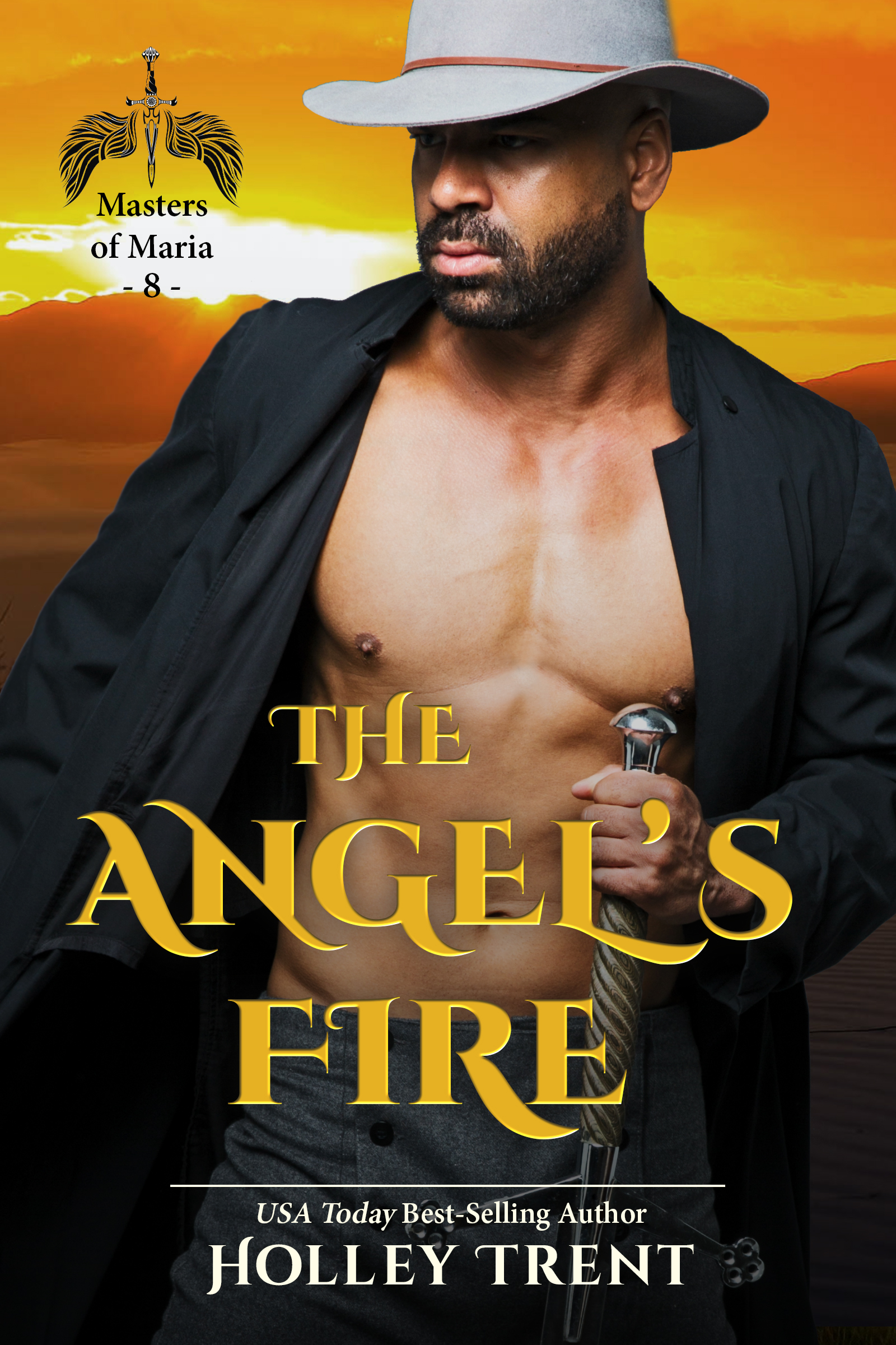 Cover image of The Angel's Fire