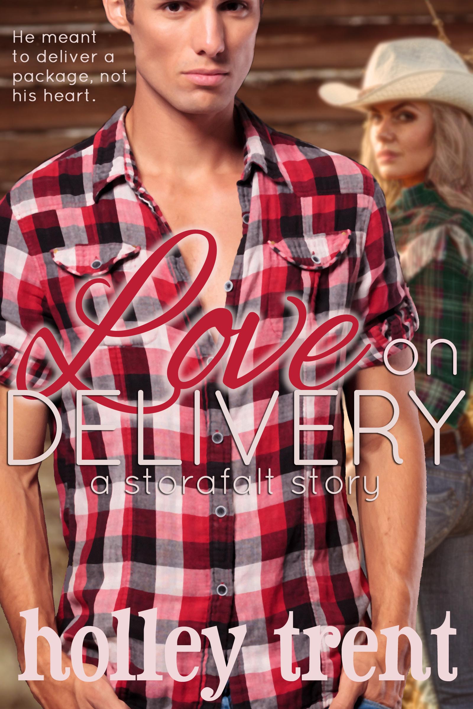 cover of Love on Delivery