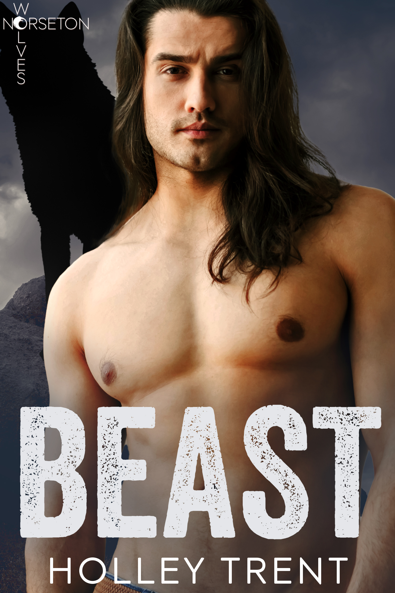 Cover of Norseton Wolves Beast by Holley Trent